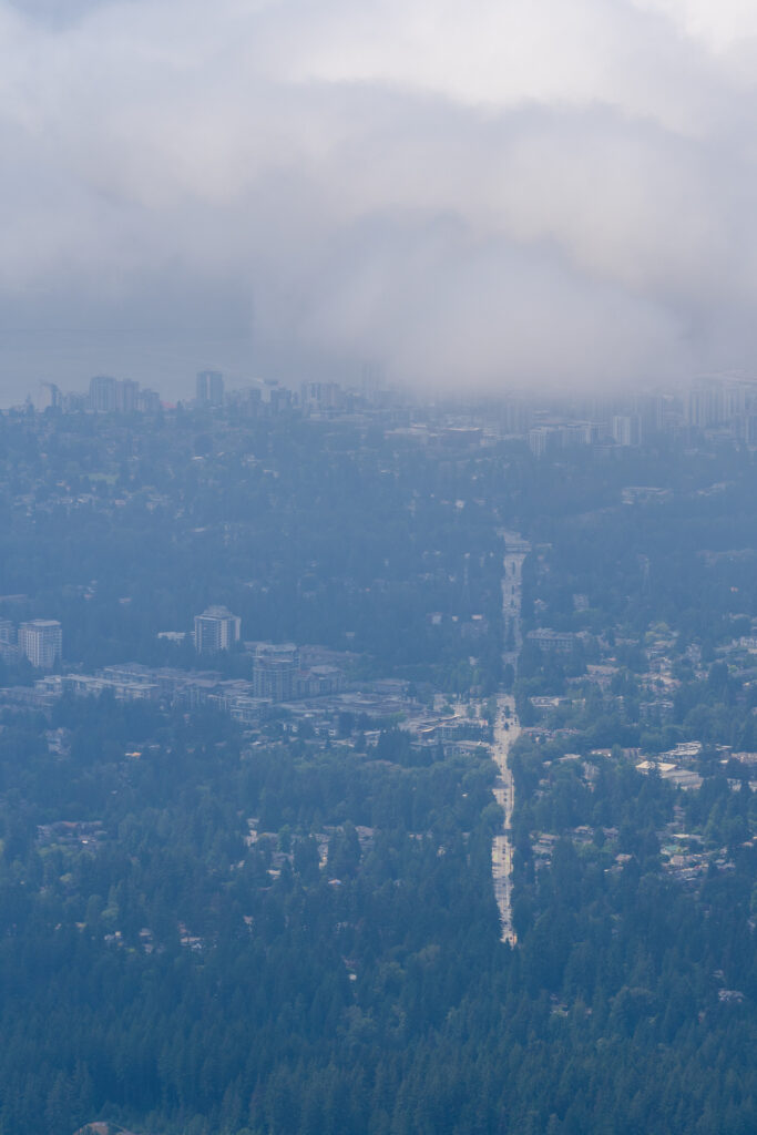 View from Dog Mountain on cloudy day