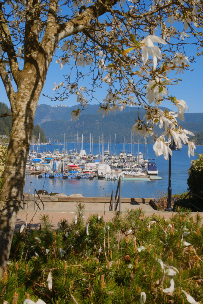 Photo from Deep Cove, View of Deep Cove