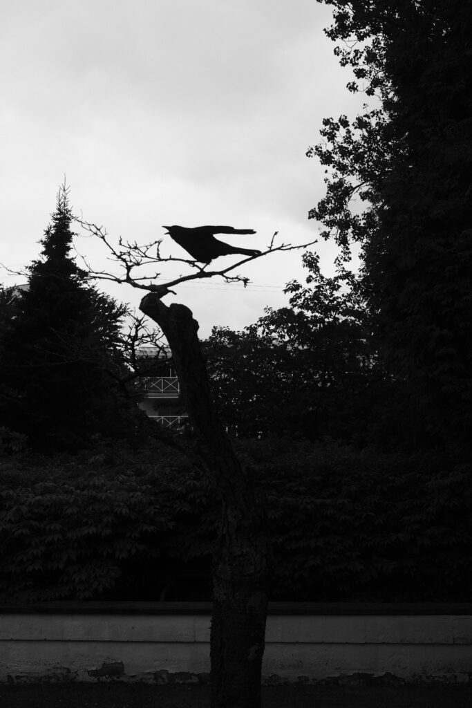 Tri-X 400 Photo Example on a Fujifilm X100vi