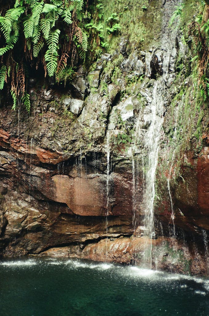 Discover the tranquil beauty of a waterfall amidst lush greenery in Madeira, Portugal.