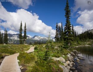 Read more about the article 7 Best Hikes in Whistler BC Near the Village to Try Now