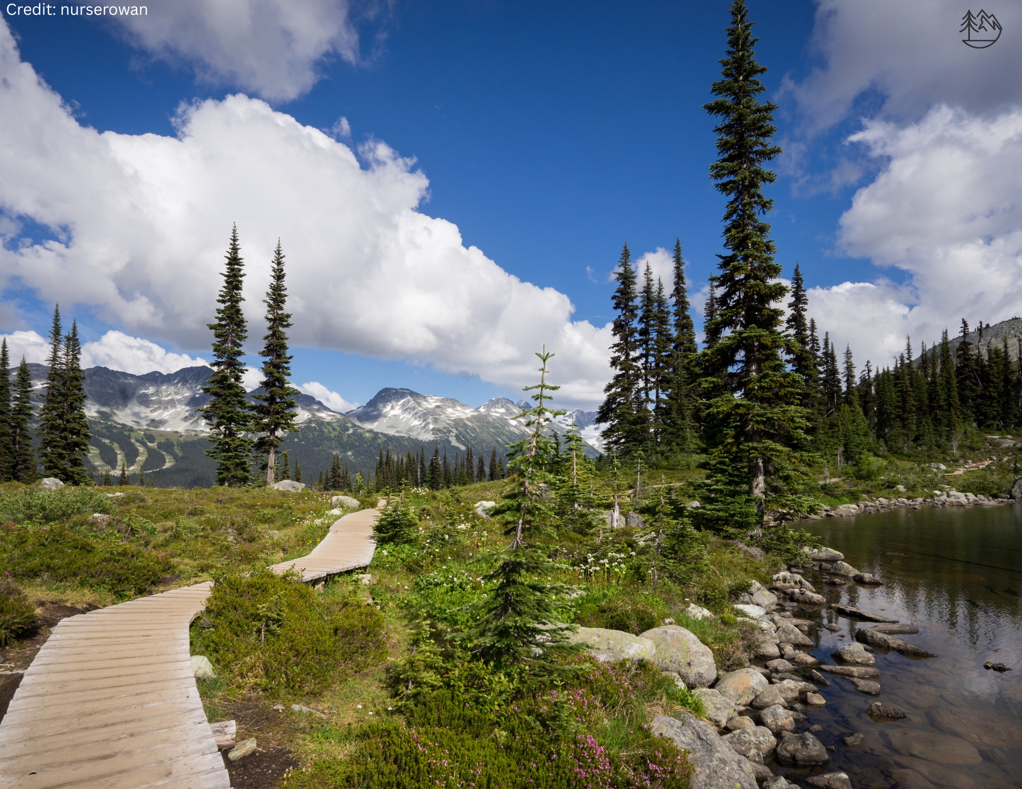 View of High Note Trail on the mountain.